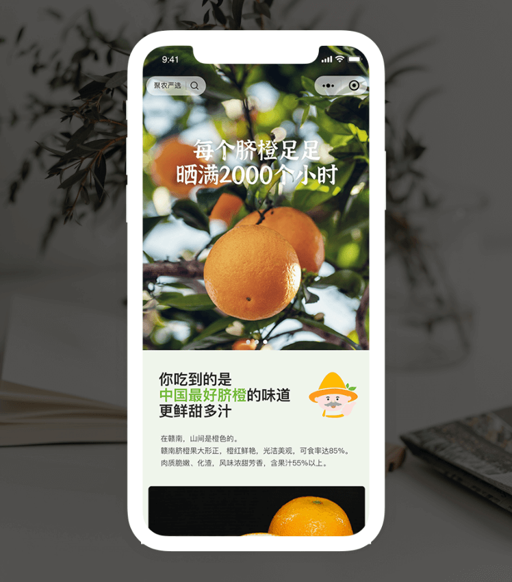 维多利亚老品牌vic(集团)官方网站